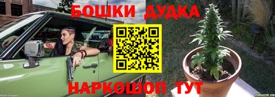прущие грибы Апшеронск